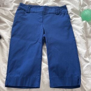 Reitmans The Iconic blue Shorts Petite